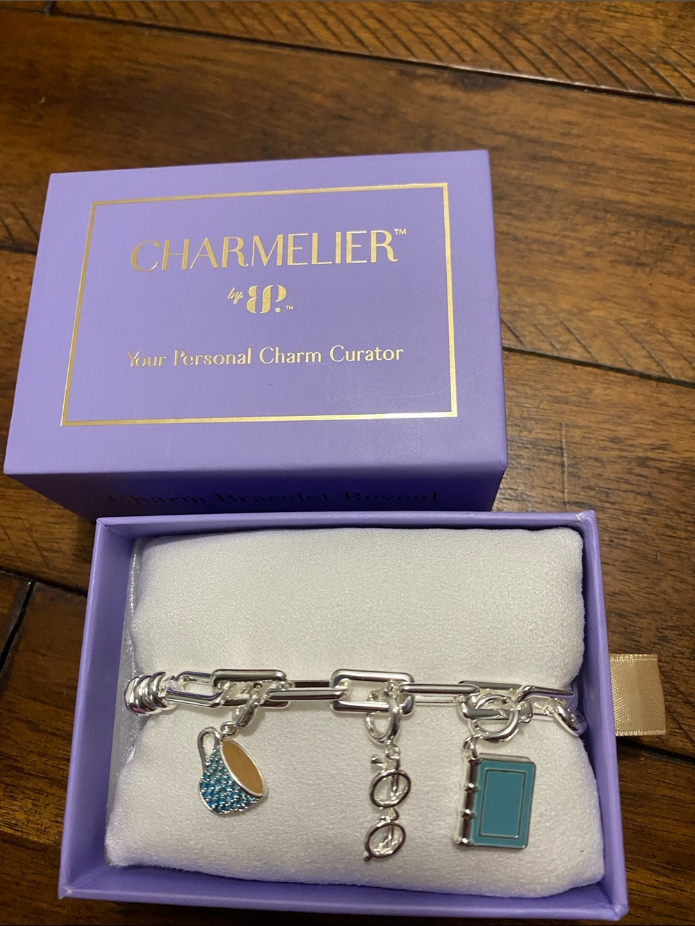 Bomb Party Charmelier Charm Bracelet - Bookworm Bliss - Silver